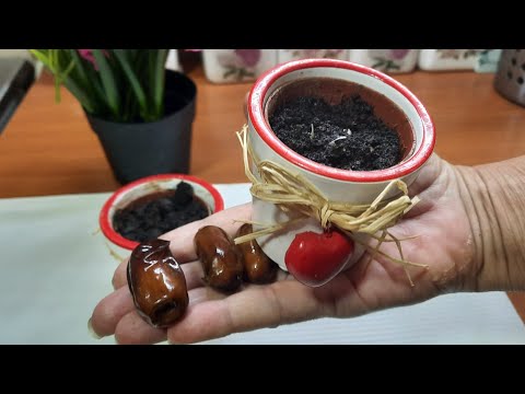 Video: 4 načina da se riješite mirisa češnjaka