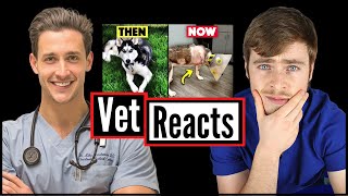 Veterinarian Reacts To Doctor Mike's Dog Losing Her Leg