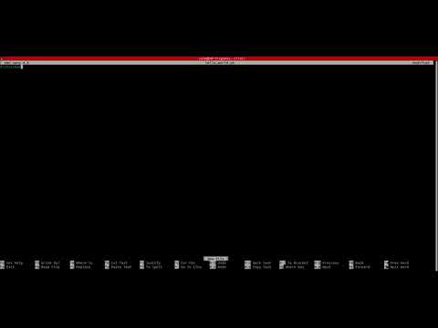 Bash Script -