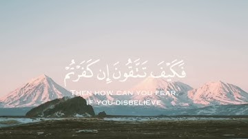 أوائل سورة آل عمران (حصرياً) _ تلاوة خاشعة بصوت القارئ عبدالرحمن مسعد