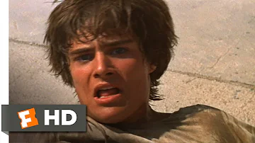 Romeo and Juliet (6/9) Movie CLIP - Romeo Kills Tybalt (1968) HD