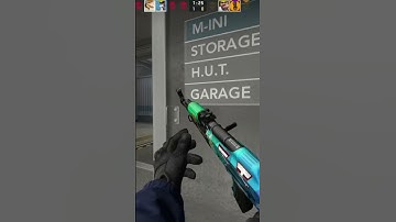 aim level 99 #shorts