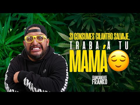 Si consumes cilantro salvaje, traba a tu mamá - Francamente Franko