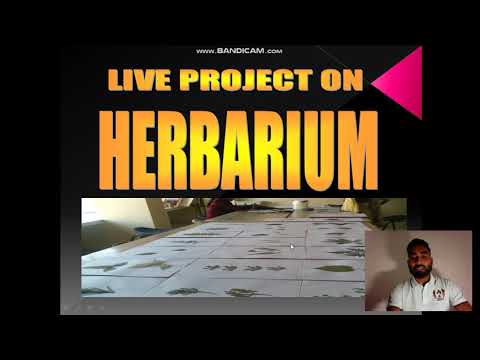 ቪዲዮ: አንድ Herbarium ለማቆየት እንዴት