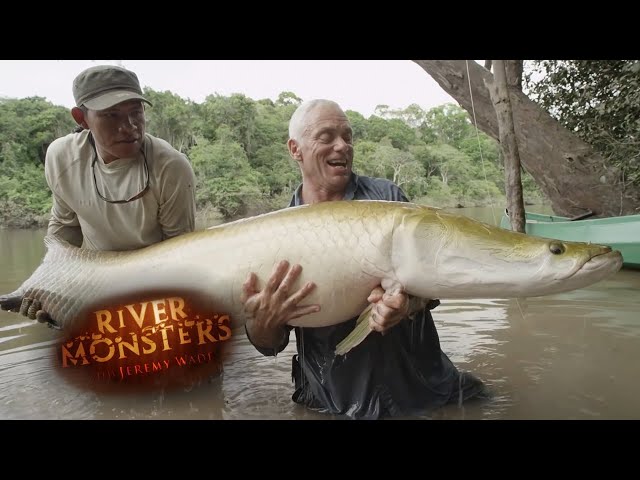 Incredible REEL TIME Arapaima Catch | ARAPAIMA | River Monsters class=