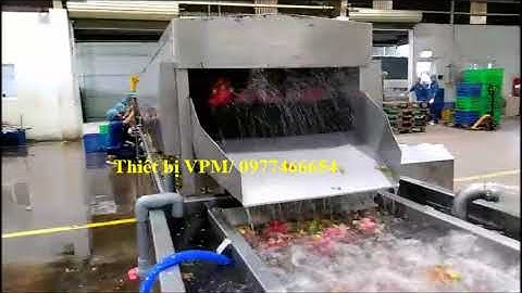 Dây chuyền rửa xoài, dây chuyền rửa trái cây