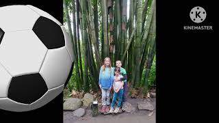 Our trip to Cornwall - Easter 2024