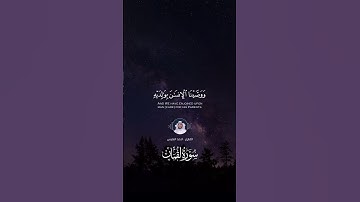 ووصينا الانسان بوالديه - القارئ : احمد النفيس