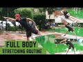 Full body stretching routine  mobility workout follow along