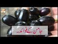 Watch Jaman Kay Fawaid | ARY Qtv Online In HD