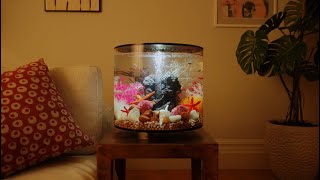 Biorb Tube Aquarium Product Overview