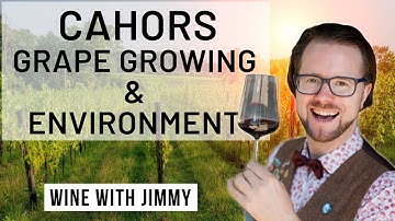 WSET Level 4 Diploma D3 Cahors Grape Growing and Environment