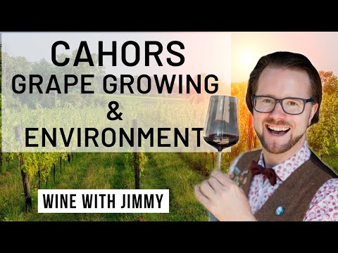 WSET Level 4 Diploma D3 Cahors Grape Growing and Environment