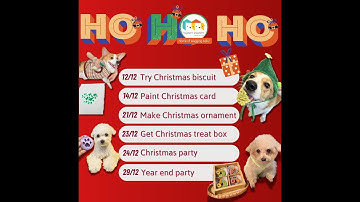 Ý tưởng chuẩn bị Giáng sinh dành cho cún cưng thú vị - Khách sạn chó mèo