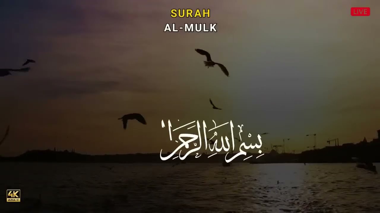 MUROTTAL ALQURAN MERDU PENGANTAR TIDUR, Ayat suci al quran merdu pengantar tidur | alaa aqel