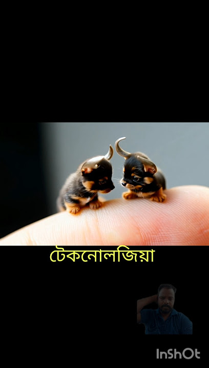 টেকনোলজিয়া #sortfeed #sort #trending #viralshort #shortviral #funnyclips #funny #ytshorts