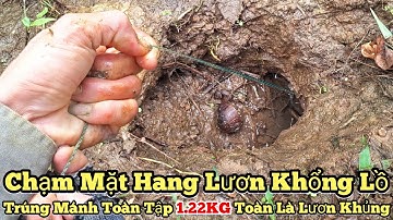 Câu lươn khủng_1.22KG Toàn là lươn khủng_Trúng mánh đậm toàn tập_tập1010//Giant eel fishing