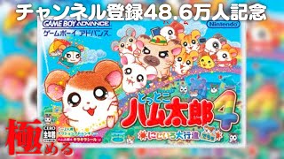 ドコムスチャンネルの配信のサムネイル画像