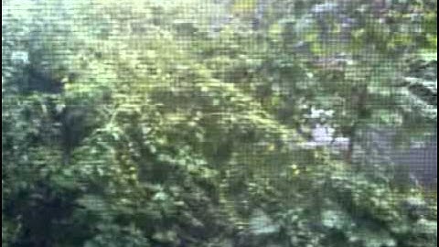 G1 Upload Test - CyanogenMod 6.1 (Android 2.2)