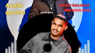 SICIID QALINLE ASALKII QARDHO  clip MUSIC 2025