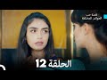 قصة حب العوالم المختلفة الحلقة 12  