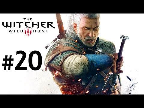 巫師3 狂獵 The Witcher 3 Wild Hunt (20) 乞丐王-斬除禍害