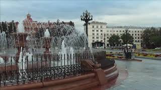 Хабаровск, площадь Ленина, множество протестующих голубей!