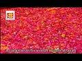 Khwaja Moienuddin Hasan || Gyasuddin Warsi || Video Qawwali || Musicraft Entertainment Mp3 Song