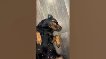 Food Woke Her Up 