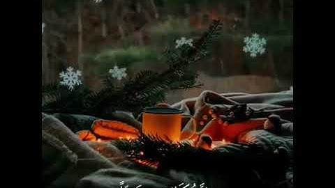 الشيخ وديع اليمني /حالات واتس قرانية __تلاوات قصيرة _ ايات قرانية _ تلاوات نادرة _ مقاطع انستقرام