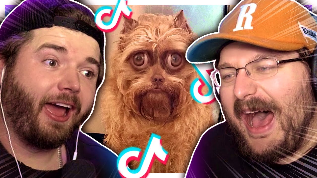 Showing Wildcat TikToks that made me laugh so hard I gargled