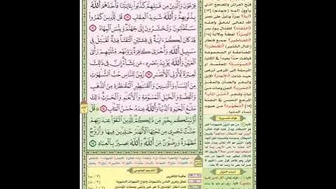 الوجه الثاني من سورة آل عمران من ١٠ حتى ١٥ مكرر عشر مرات للشيخ إبراهيم الأخضر