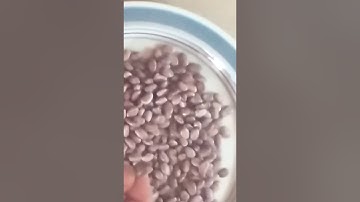 dry beans sort, clean and soak