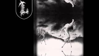 Lua Negra Pagã﻿ - Universes
