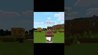 Minecraft এ Hero Alam আমার বন্ধু। তোমার নাম কমেন্ট করো। #minecraftpocketedition #minecraft #shorts