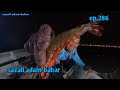 Jaring udang dan terus masak ep.286