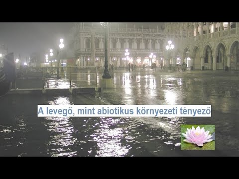 Videó: Az élőlények életét korlátozó tényezők: fény, víz, hőmérséklet