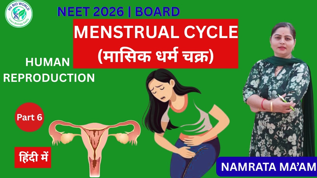Menstrual Cycle in Human | Phases, Hormonal Control & Graph | NEET Biology | Part 6