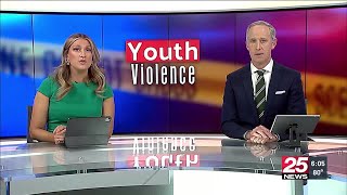 Law enforcement and community members say juvenile violence in Peoria area is increasing