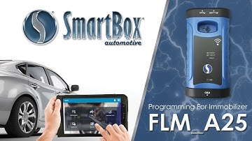 Programming For Immobilizer FLM_A25