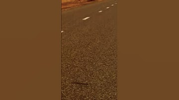 489* سورة التكاثر # سعد الغامدي #