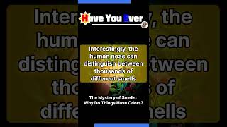 The Mystery Of Smells Why Do Things Have Odors sciencs facts