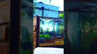 Questions/answers container homes part 2   KLC
