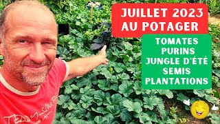 Juillet 2023 au potager ► Tomates, purins, semis, plantations, plage...! #potager