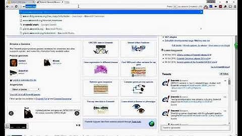 How to extract genomic sequences based on coordinates using ENSEMBL Biomart