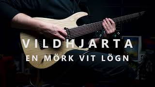 Vildhjarta - En Mörk Vit Lögn (Guitar Cover)