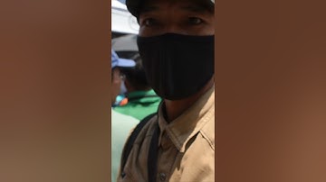 TOÀN CẢNH TANG LỄ CỐ NSƯT VŨ LINH quá khủng khiếp bà con đến đưa tiễn Ông Hoàng Cải Lương #shorts