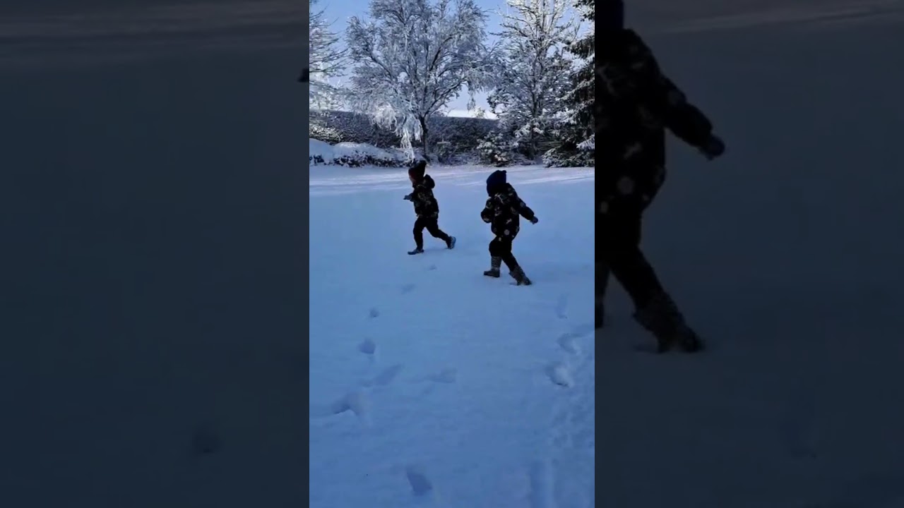 First snow, forever homes!