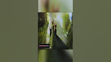 How it started - PS5 Game played on mobile - STRAY