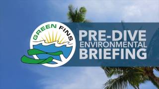 Green Fins Pre Dive Environmental Briefing